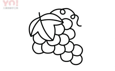 葡萄简笔画画法-优优资源