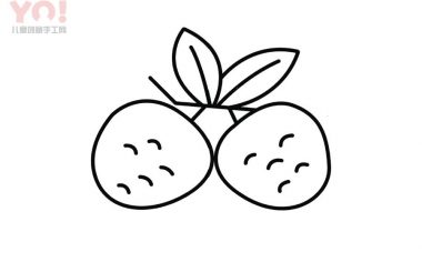 荔枝简笔画画法-优优资源
