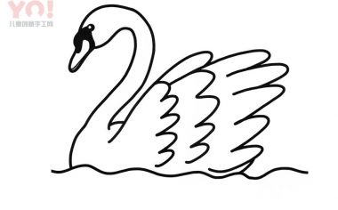 天鹅简笔画画法-优优资源