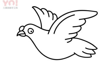 鸽子简笔画画法-优优资源