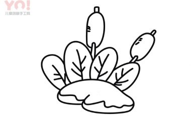 蒲棒简笔画画法-优优资源