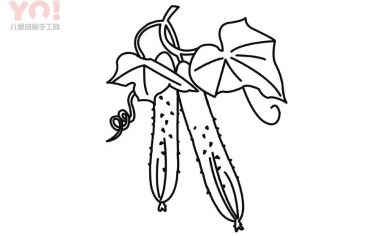 黄瓜简笔画画法-优优资源