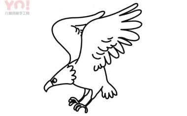 老鹰简笔画画法-优优资源