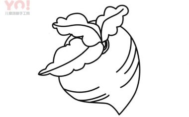 水萝卜简笔画画法-优优资源