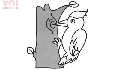啄木鸟简笔画画法-优优资源