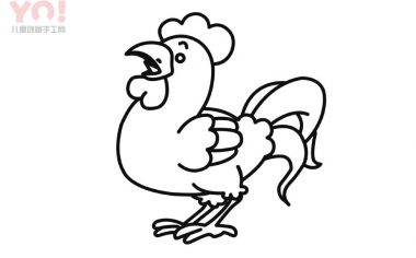 大公鸡简笔画画法-优优资源