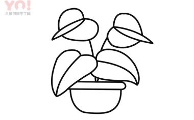 马蹄莲简笔画画法-优优资源