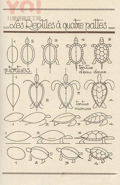 不同形态乌龟简笔画的图片教程