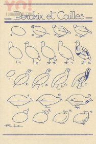 5种不同姿势鸽子的简笔画画法-优优资源