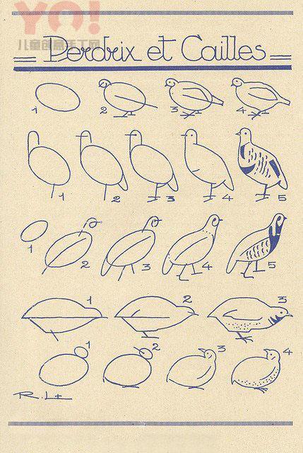 5种不同姿势鸽子的简笔画画法
