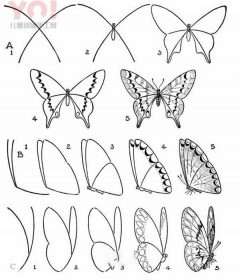 美丽蝴蝶简笔画图片教程-优优资源