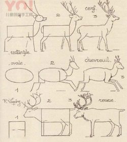 3种鹿的简笔画画法图片-优优资源