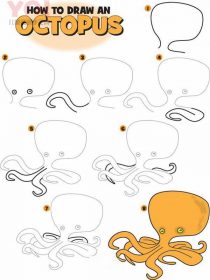 简笔画彩色章鱼的画法图片-优优资源