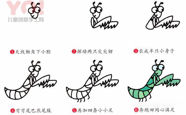简笔画可爱螳螂的图片步骤