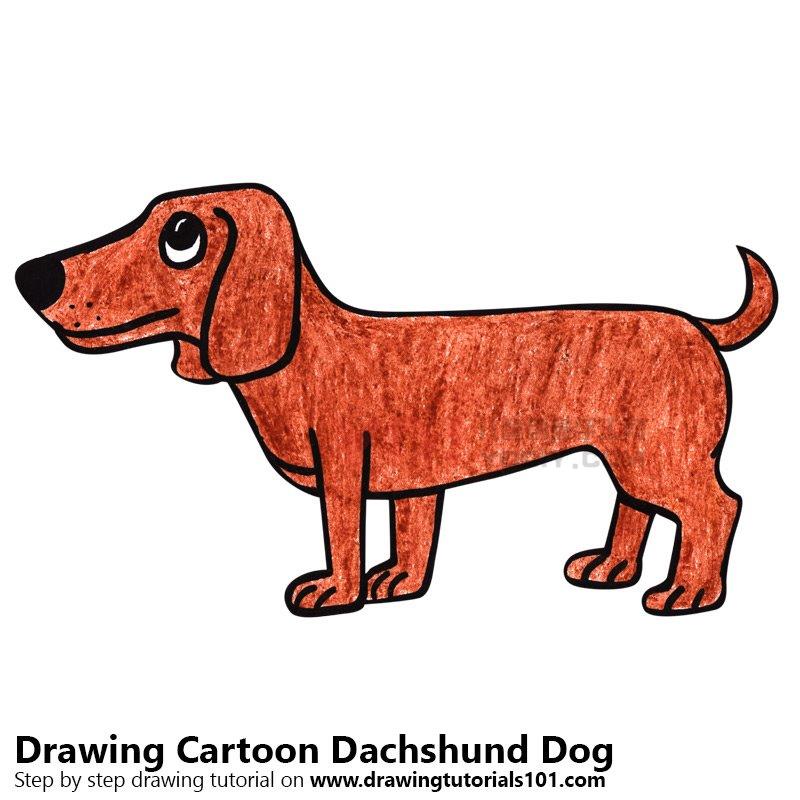 图片[1]-学习如何画一个卡通腊肠狗（卡通动物）-YO儿童创意手工网