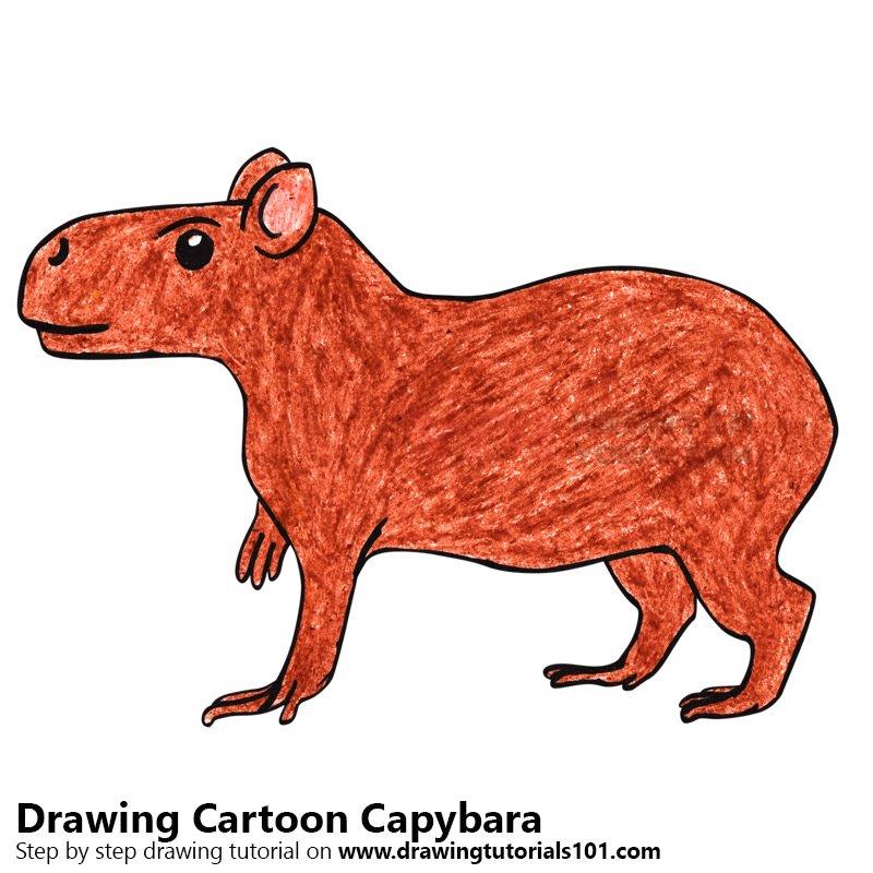图片[1]-学习如何绘制卡通凯雅巴拉（卡通动物）-YO儿童创意手工网