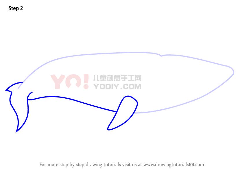 图片[3]-学习如何画一个卡通蓝鲸（卡通动物）-YO儿童创意手工网