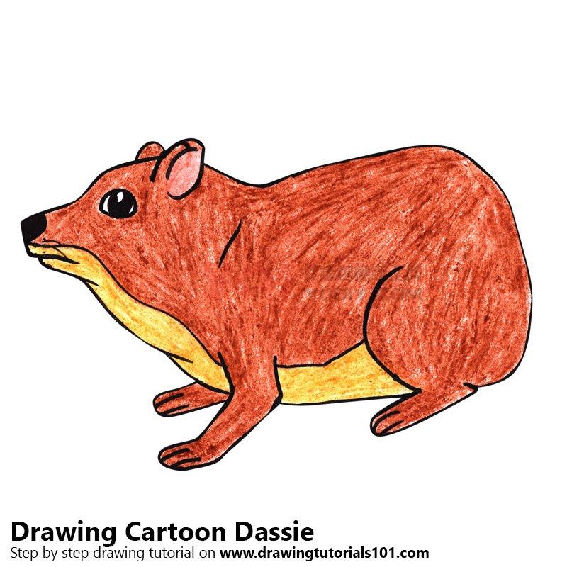 图片[1]-学习如何画一个卡通dassie（卡通动物）-YO儿童创意手工网