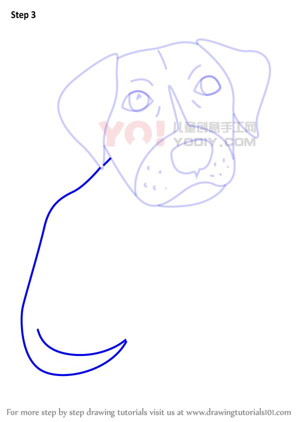 图片[4]-学习如何画一个动画片pitbull小狗（卡通动物）-YO儿童创意手工网
