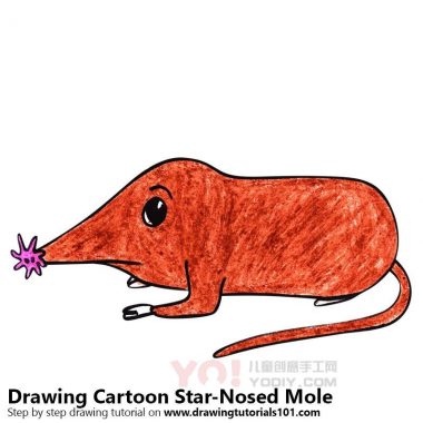 学习如何画一个卡通星鼻痣（卡通动物）-优优资源