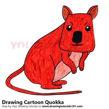 学习如何画一个卡通Quokka（卡通动物）-优优资源