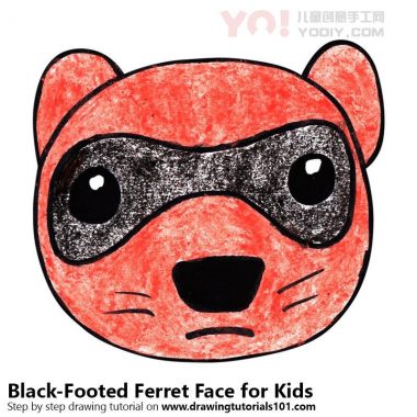 了解如何为孩子们绘制一张黑脚雪貂面（儿童脸部）-优优资源