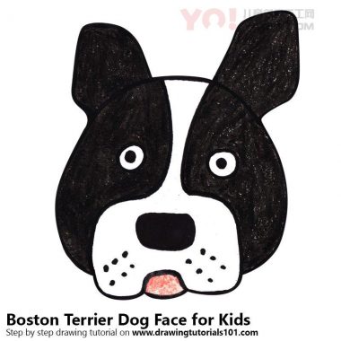 了解如何为孩子们画一个波士顿梗狗面（儿童的动物面部）-优优资源
