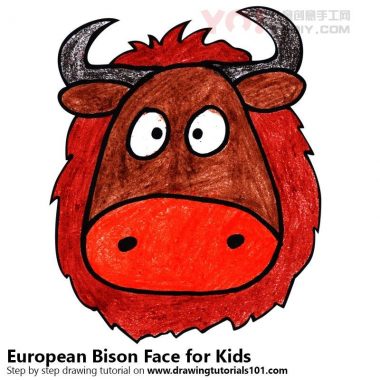 学习如何为孩子们绘制欧洲北美野牛面孔（儿童的动物面孔）-优优资源