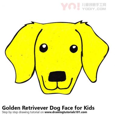 了解如何为孩子们画一只金毛狗脸（儿童的动物面孔）-优优资源