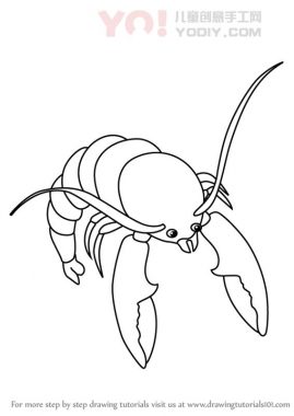 学习如何为孩子们画虾（儿童动物）-优优资源