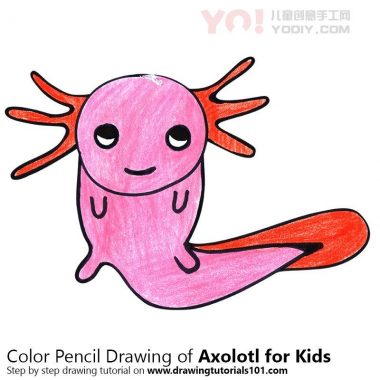 学习如何为孩子绘制Axolotl（儿童动物）-优优资源