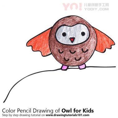 学习如何为孩子们绘制猫头鹰（儿童动物）-优优资源