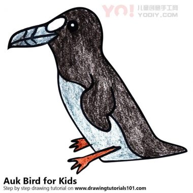 学习如何为孩子们画一只Auk鸟（儿童动物）-优优资源