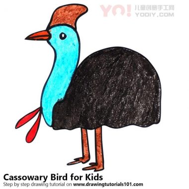 了解如何为孩子们画一只美洲鹦鹉鸟（儿童动物）-优优资源