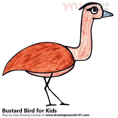 了解如何为孩子们画一个猛烈的鸟（儿童动物）-优优资源