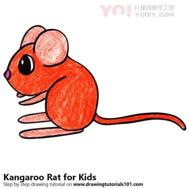 了解如何为孩子们绘制袋鼠大鼠（儿童动物）-优优资源