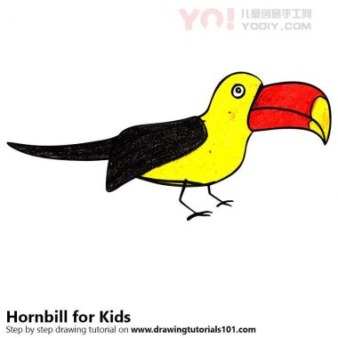 学习如何为孩子们画一个犀鸟（儿童动物）-优优资源