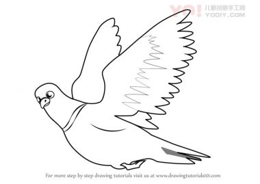 学习如何在飞行中绘制鸽子（儿童鸟类）-优优资源