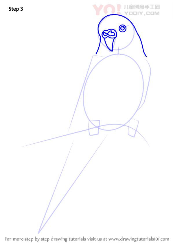 图片[4]-学习如何画一个卡通鹦鹉（儿童鸟）-YO儿童创意手工网