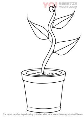 学习如何在锅中绘制植物（儿童植物）-优优资源