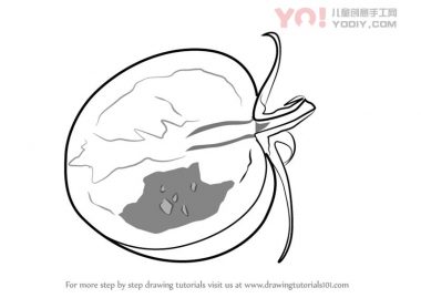 学习如何画一个切片的番茄（蔬菜）-优优资源