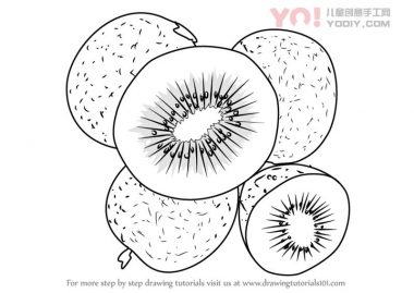学习如何画中国醋栗（水果）-优优资源