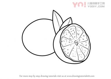 学习如何画一个切片的石灰（水果）-优优资源