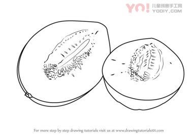 学习如何画水果瓜（水果）-优优资源
