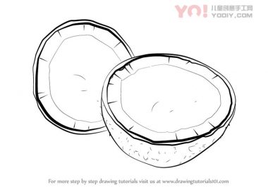 学习如何画椰子（水果）-优优资源