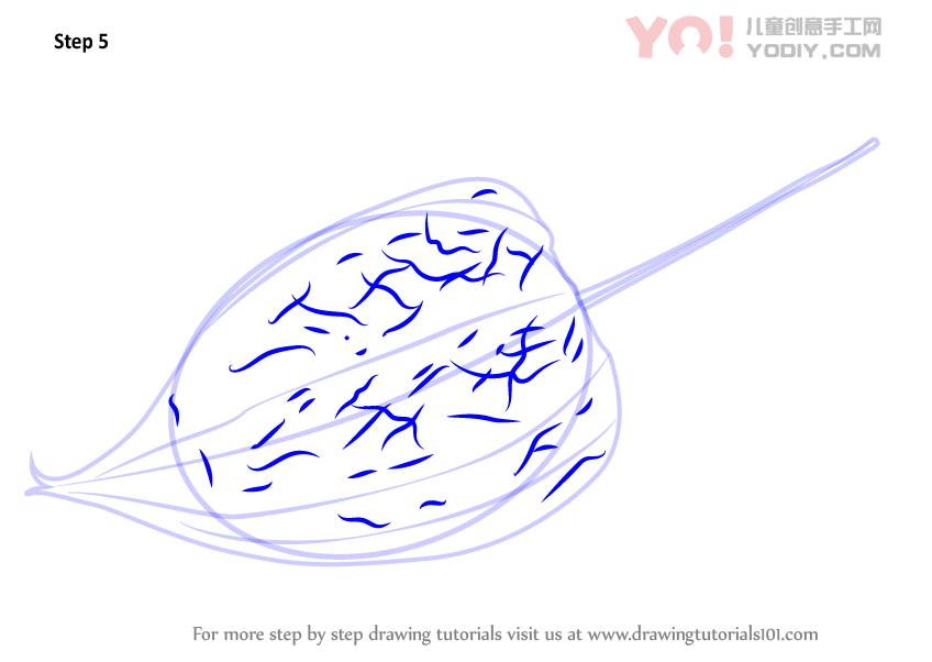 图片[6]-学习如何画一块水果（水果）-YO儿童创意手工网
