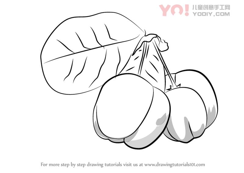 图片[1]-学习如何绘制巴巴多斯樱桃（水果）-YO儿童创意手工网