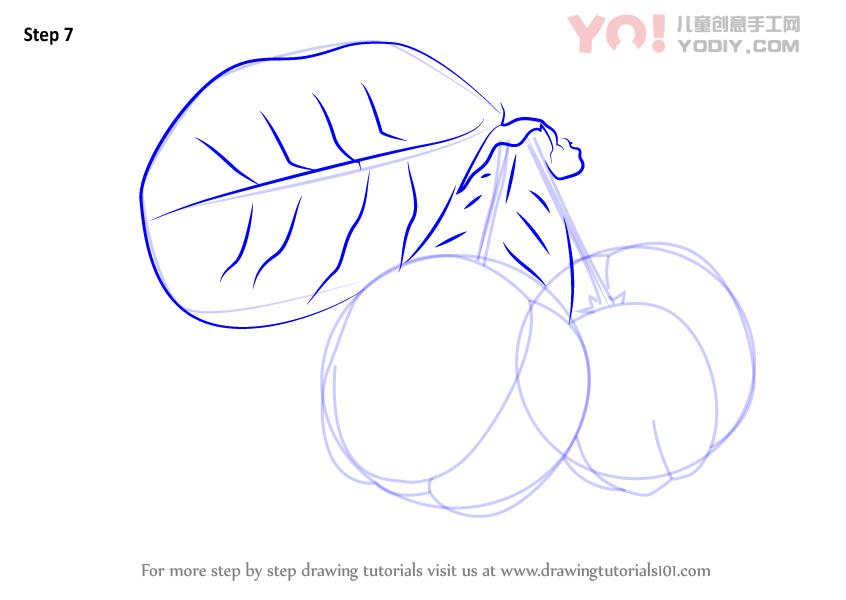 图片[8]-学习如何绘制巴巴多斯樱桃（水果）-YO儿童创意手工网