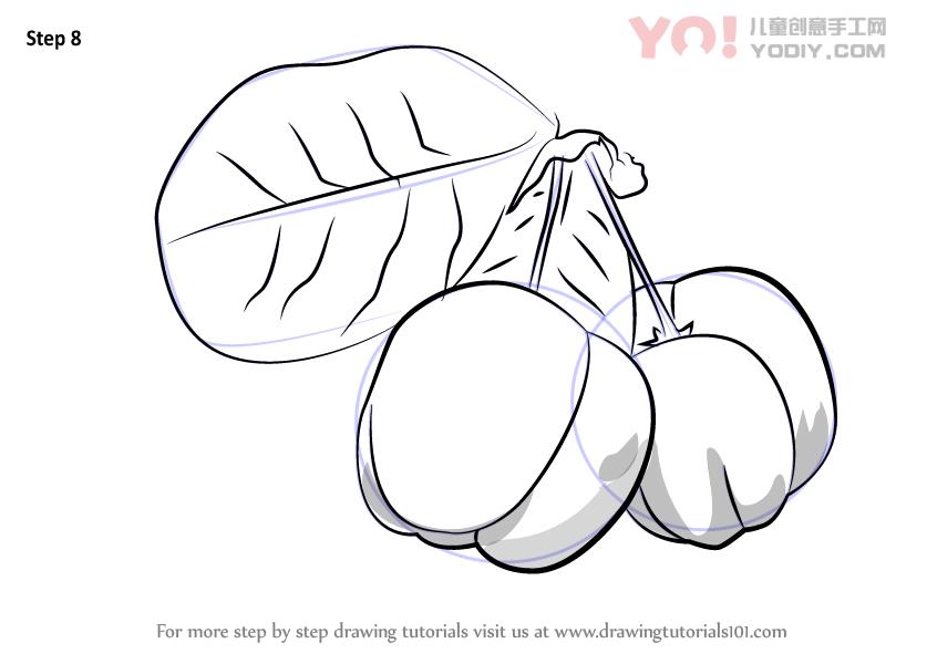 图片[9]-学习如何绘制巴巴多斯樱桃（水果）-YO儿童创意手工网